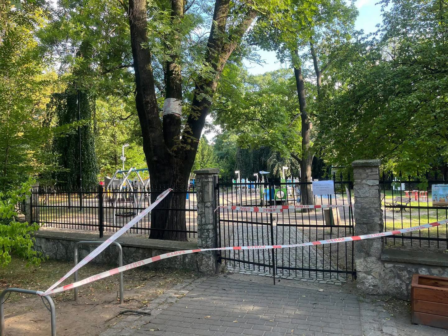 Szerszenie w parku. Trzeba je usunąć więc plac zabaw jest nieczynny