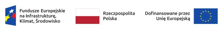 LOGOTYP FEnIKS RP UE