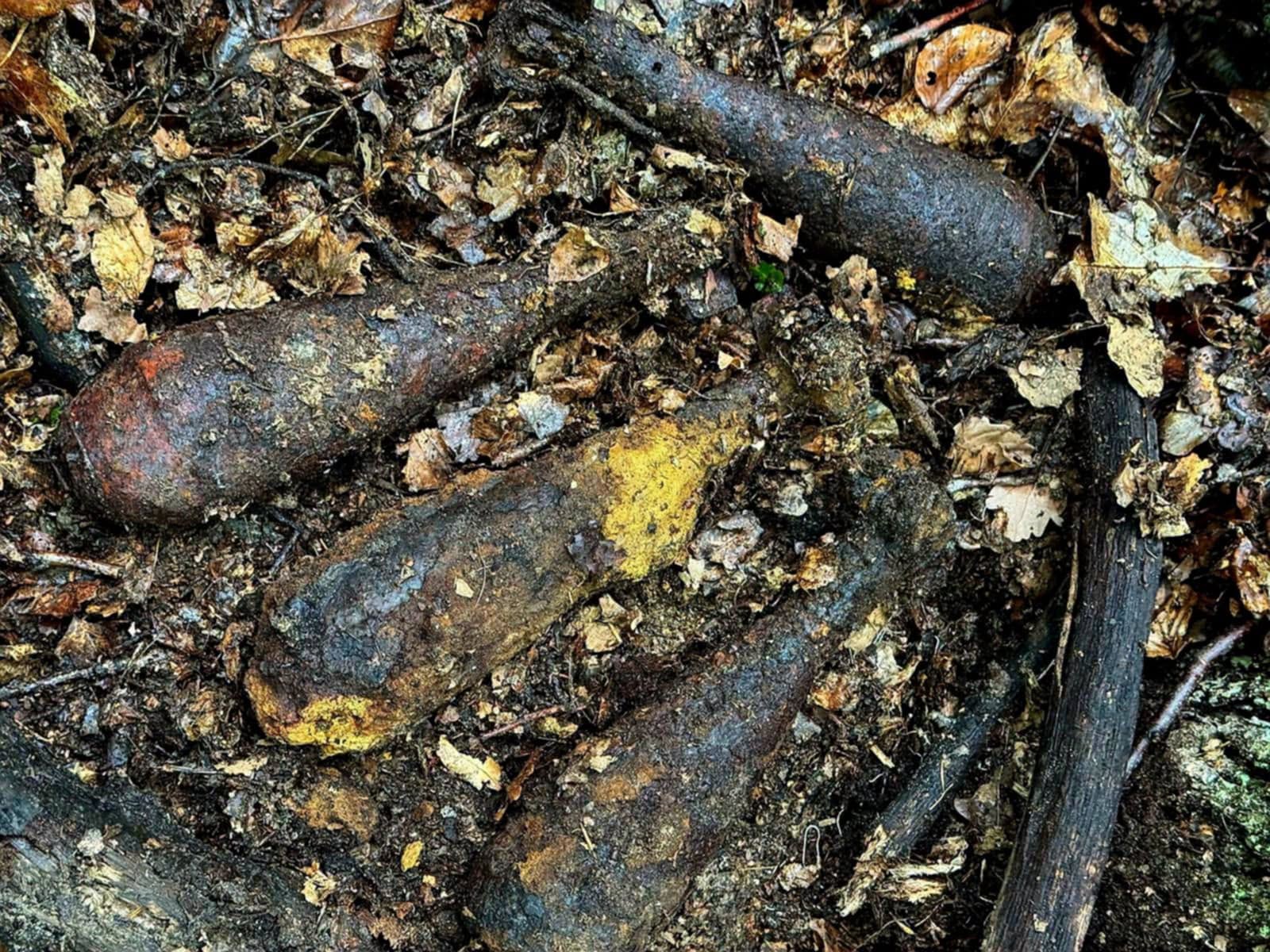 n.png n.png