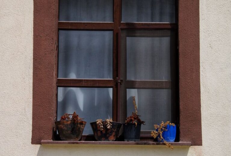 główne pexels photo .jpeg ceb